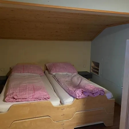 公寓 Ferienwohnung-gletscherblick *